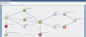 social network analysis