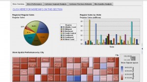 SAS Visual Analytics is like being able to see big data to believe it.