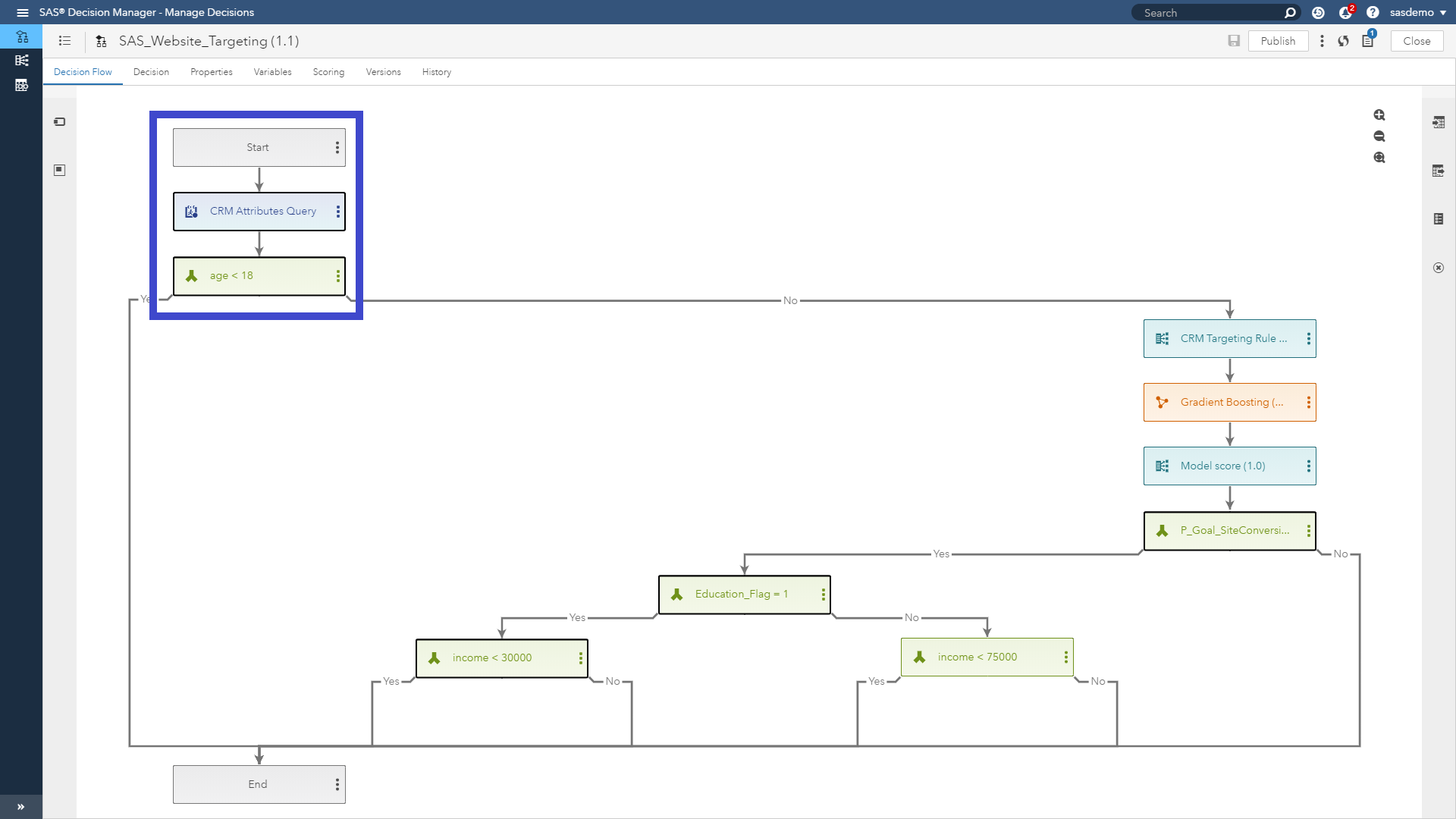 SAS Decision Manager CRM database query and age suppression