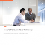 Paper: SAS and Hadoop