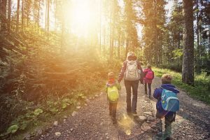 Family hiking in the woods without streaming data