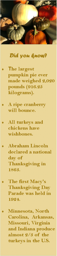 Thanksgiving Did You Know