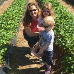 strawberrry picking DL 2016