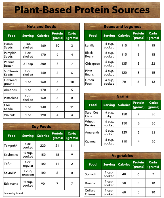 plant-based-protein-sources