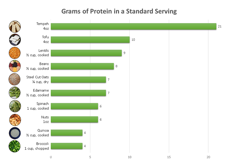 Plant Powered Protein - SAS Life