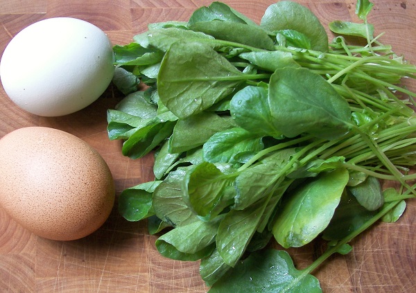 eggs-and-watercress2