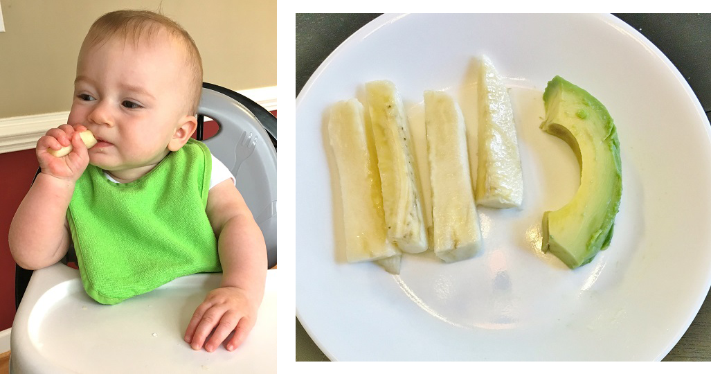 baby led weaning avocado