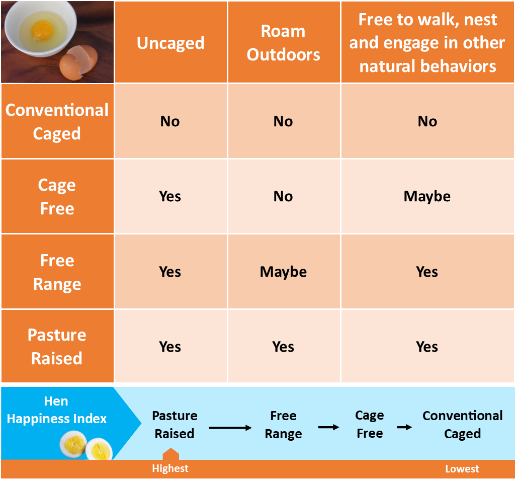 Egg Content Chart