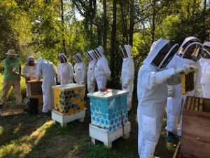 SAS employees in bee suits examine bee hives