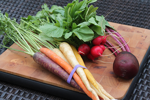 Root Vegetable Storage Bin - Potatoes, Carrots, Beets +More