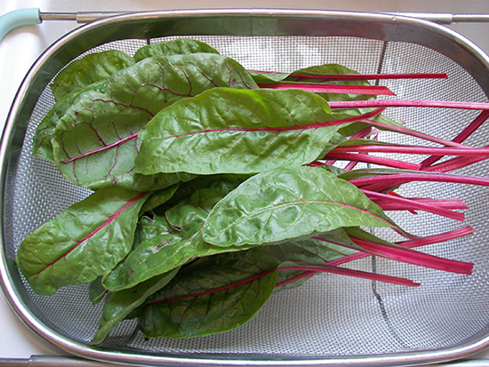 swiss chard leaves and stems in a metal strainer