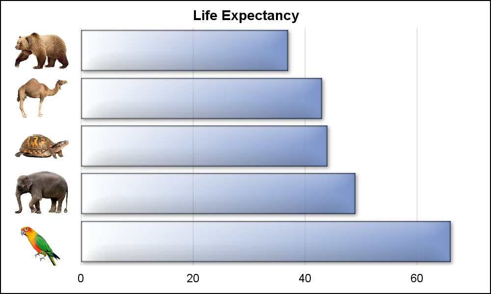 Lifespan Of Various Animals Chart