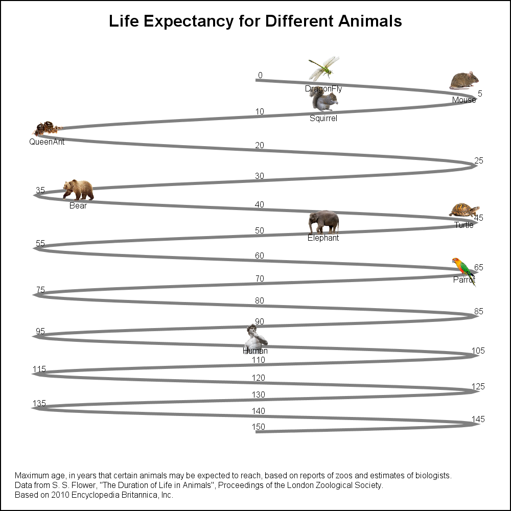 Animal life expectancy graph - Graphically Speaking