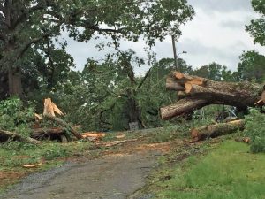 NC tornado animation (1950-2018) - Graphically Speaking