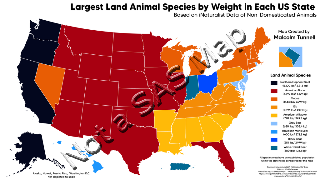 What s The Largest Animal In Each U S State Graphically Speaking