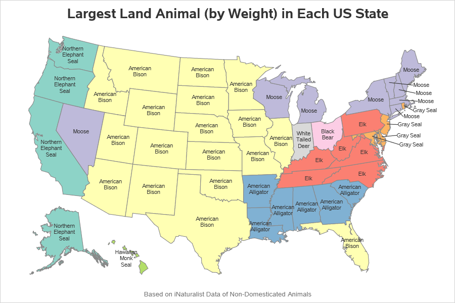 What's the largest animal in each . state? - Graphically Speaking
