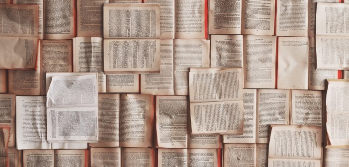 Wykrywanie ryzyka nadużyć w sektorze publicznym