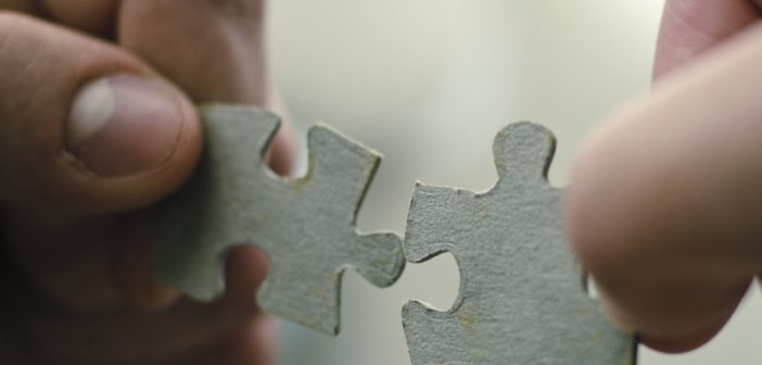 Dopasowanie do zmienności zjawisk niepożądanych