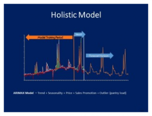 Holistic Model Methodology