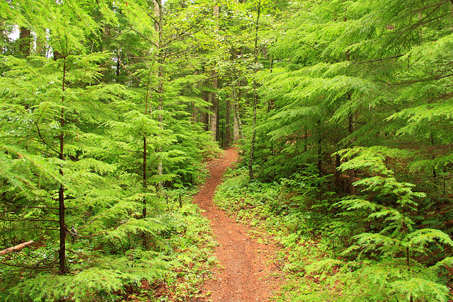 Table Rock Wilderness, Marion, Oregon