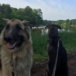 willie with willow at the lake