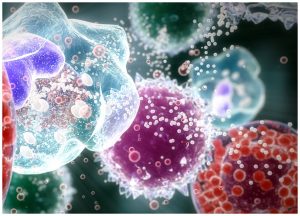 Antibody Immune_Cells_01_2