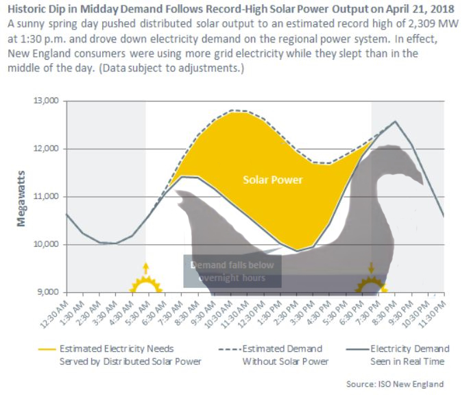 The duck curve and Australia's energy market - Adept Economics