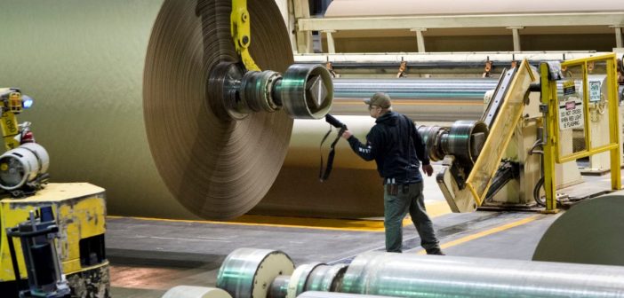 factory worker scans large roll of paper