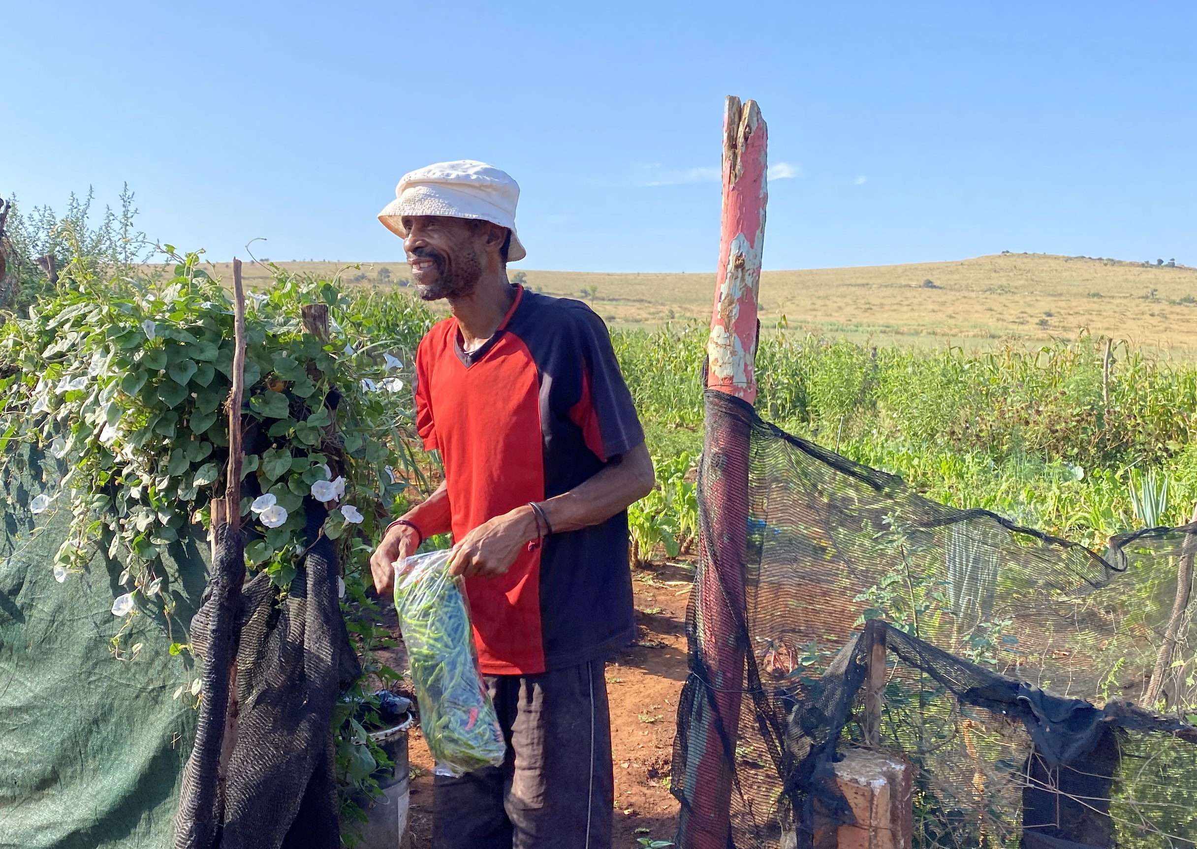 Seeds of Hope: How data is helping South African micro-farmers grow opportunity