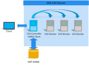 Sap sas что это