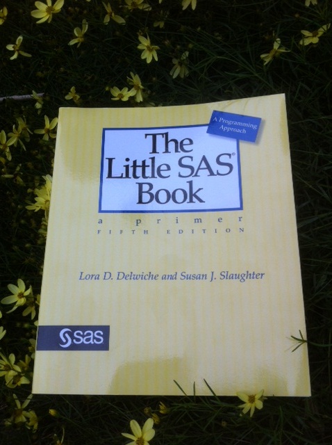 The Little SAS Book