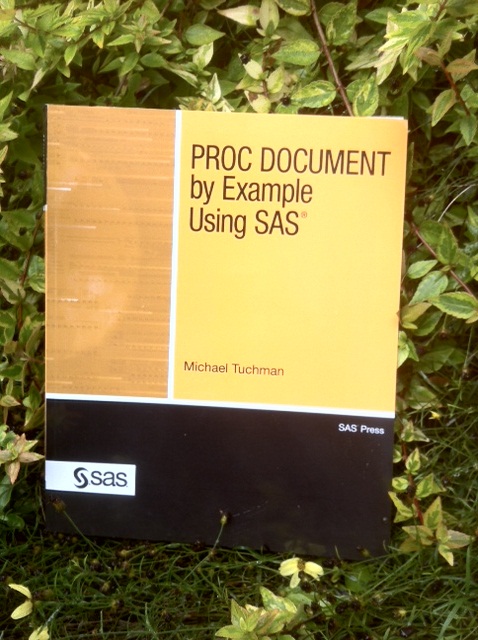 PROC DOCUMENT by Example