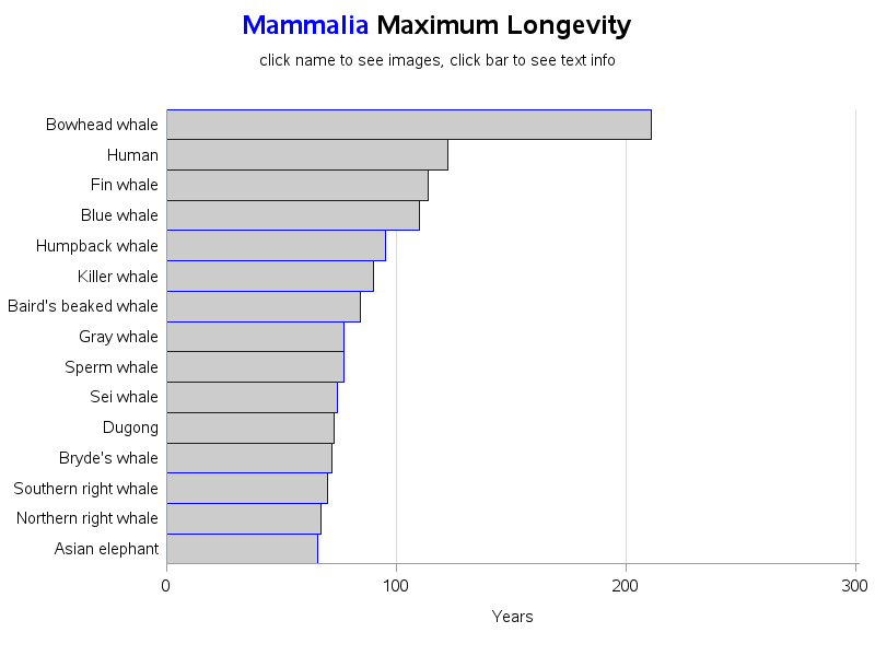 longevity_mammalia