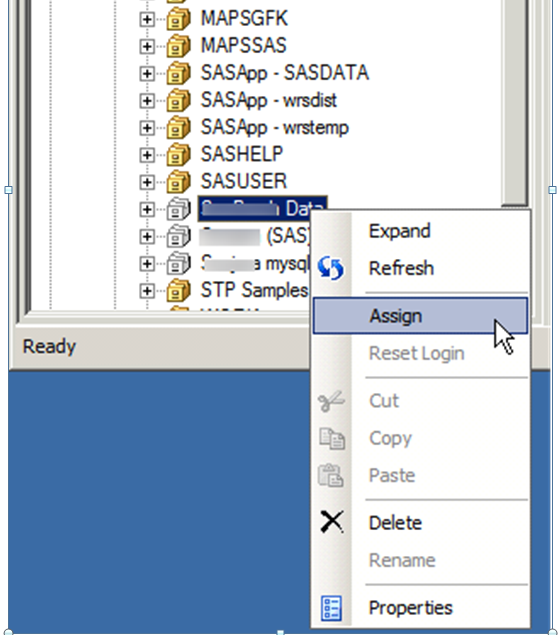 sas metadata structure