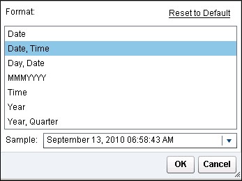 Date Formats in Visual Analytics Designer5