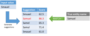 Suggestion based matching in SAS Data Quality03