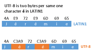 what is text encoding latin1