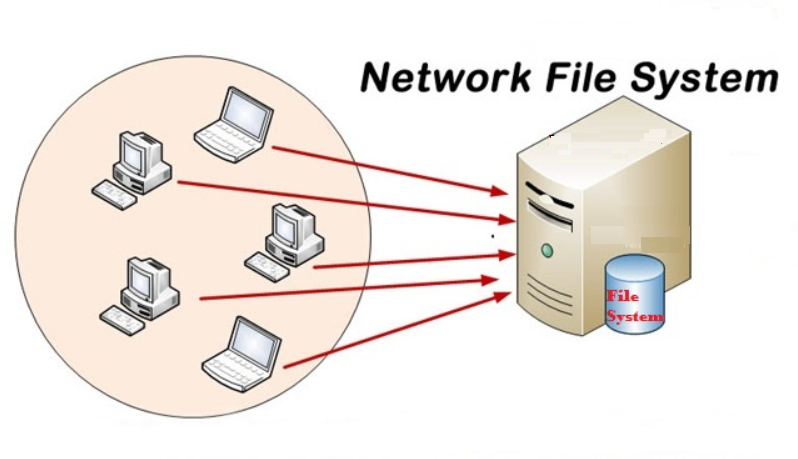 Understanding DNFS