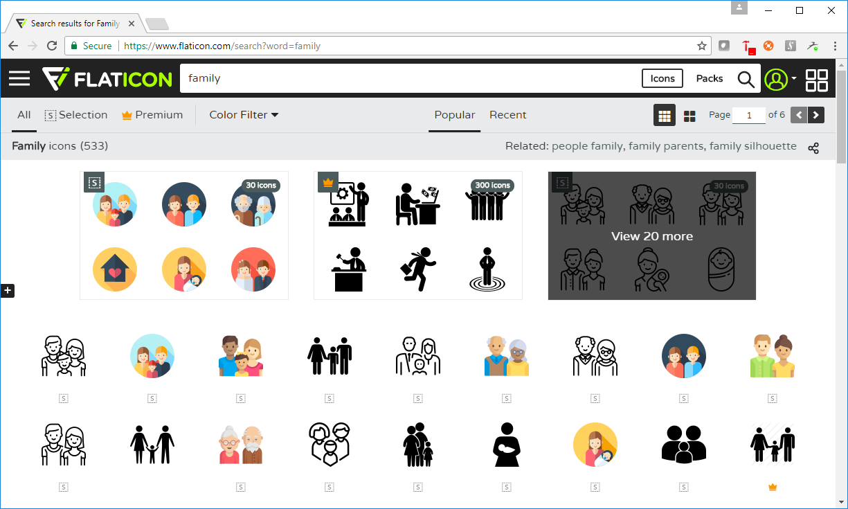 custom icons and map pin icons in SAS® Visual Investigator