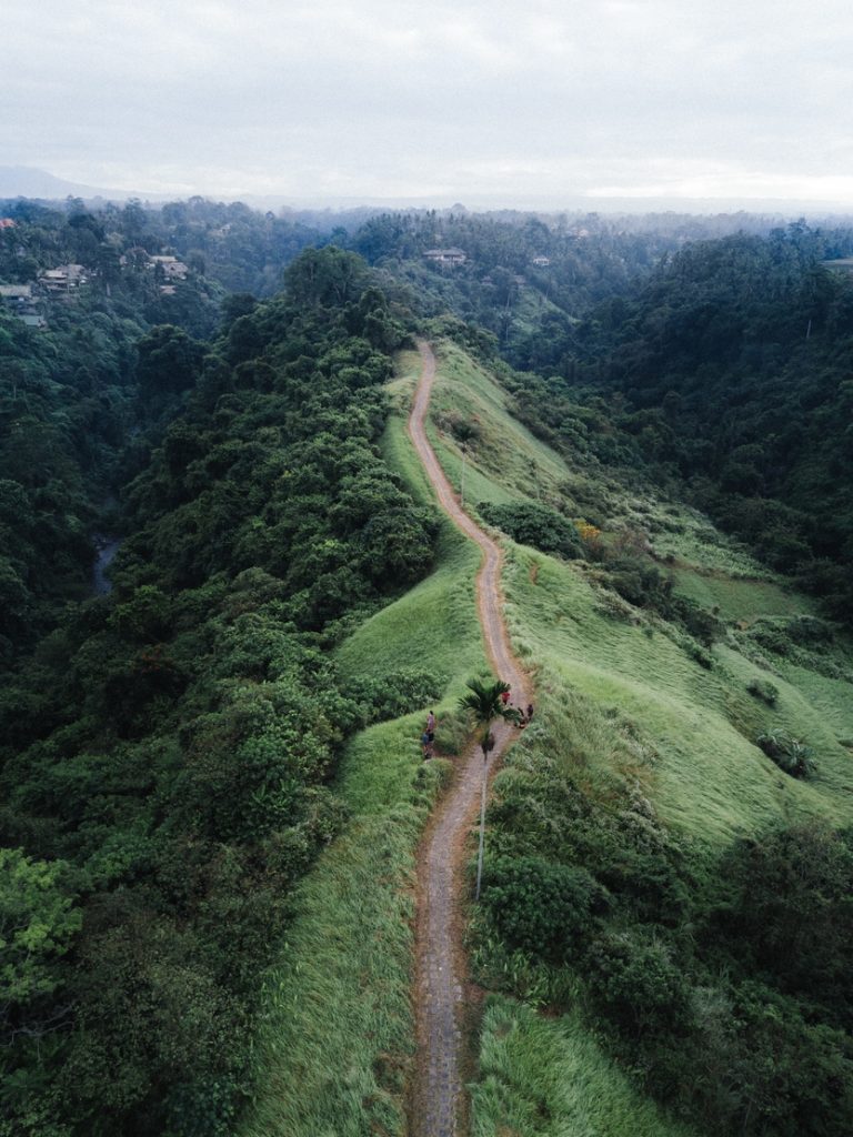 dirt path along a green, lush hillside