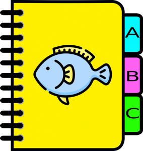 Multi-tab Excel workbook with colored tabs